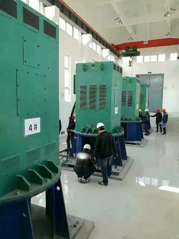 长丰镇某污水处理厂使用我厂的立式高压电机安装现场
